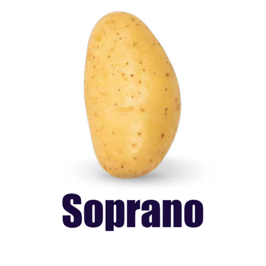 Πατατόσπορος Soprano